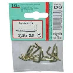 VYNEX - Gond à Vis - Acier Laitonné - 3x30 Mm